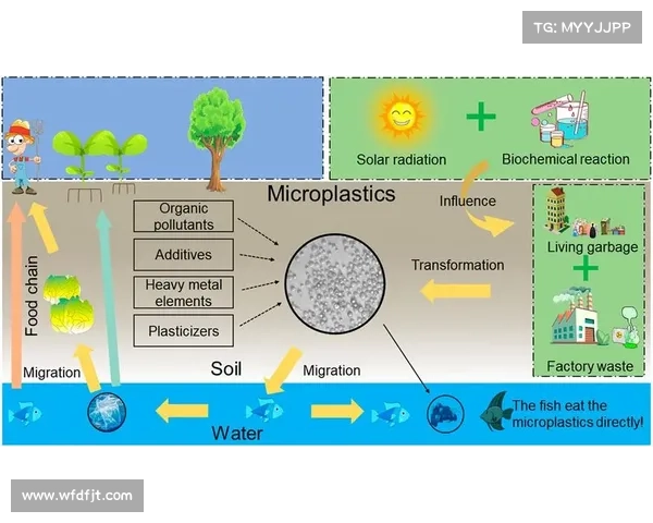 显卡风扇故障导致的性能下降及系统过热问题分析与解决方法