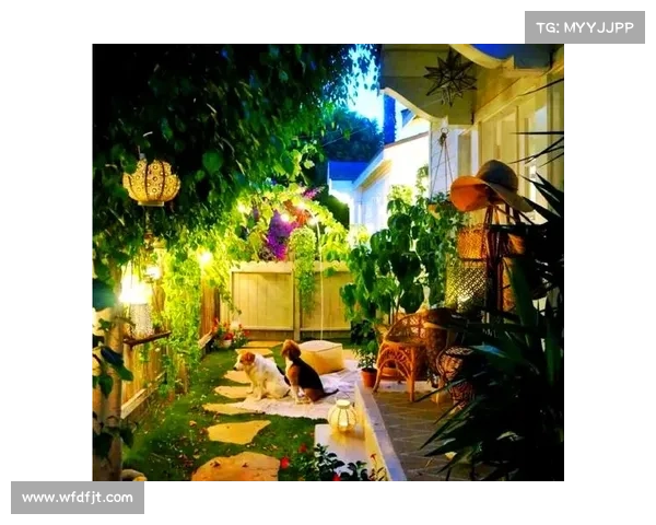 静谧庭院中的心灵宁静与自然和谐共生的完美体验