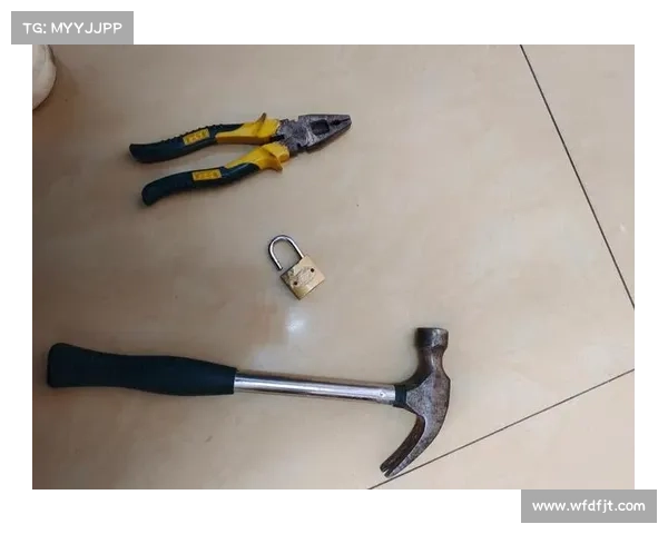 《热血无赖开锁秘籍谁最有效？揭秘最佳开锁技巧及实战应用》