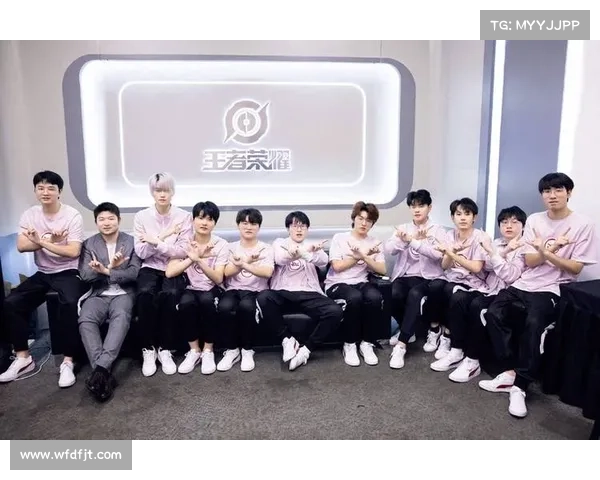 韩国选手加盟JDG战队后对队伍实力和战术打法的深远影响