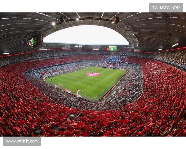 拜仁体育场命名历史与未来发展探讨：从安联到可能的全新命名